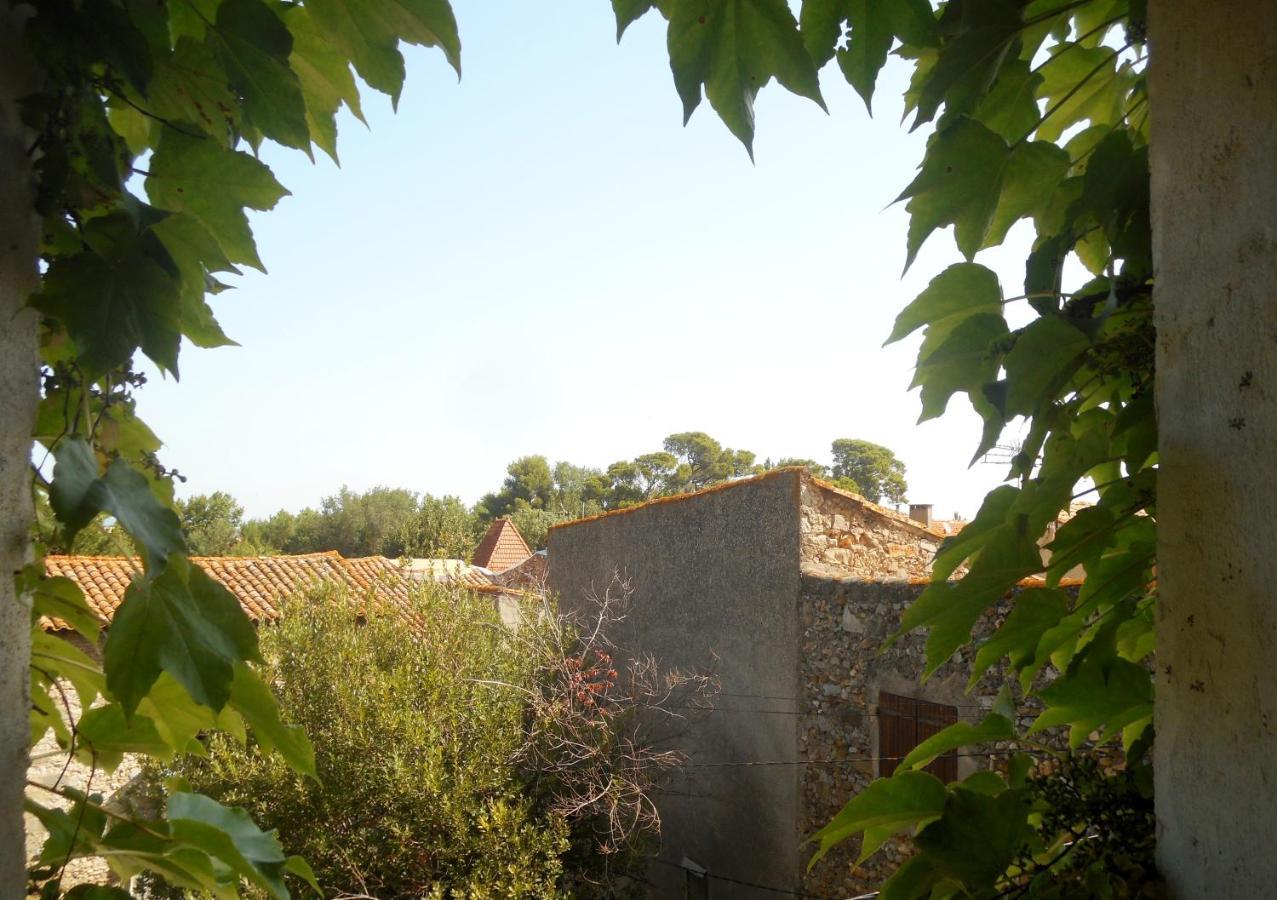 Logis De La Meschaussee, Dans Donjon Du Xie Siecle Canet  Extérieur photo
