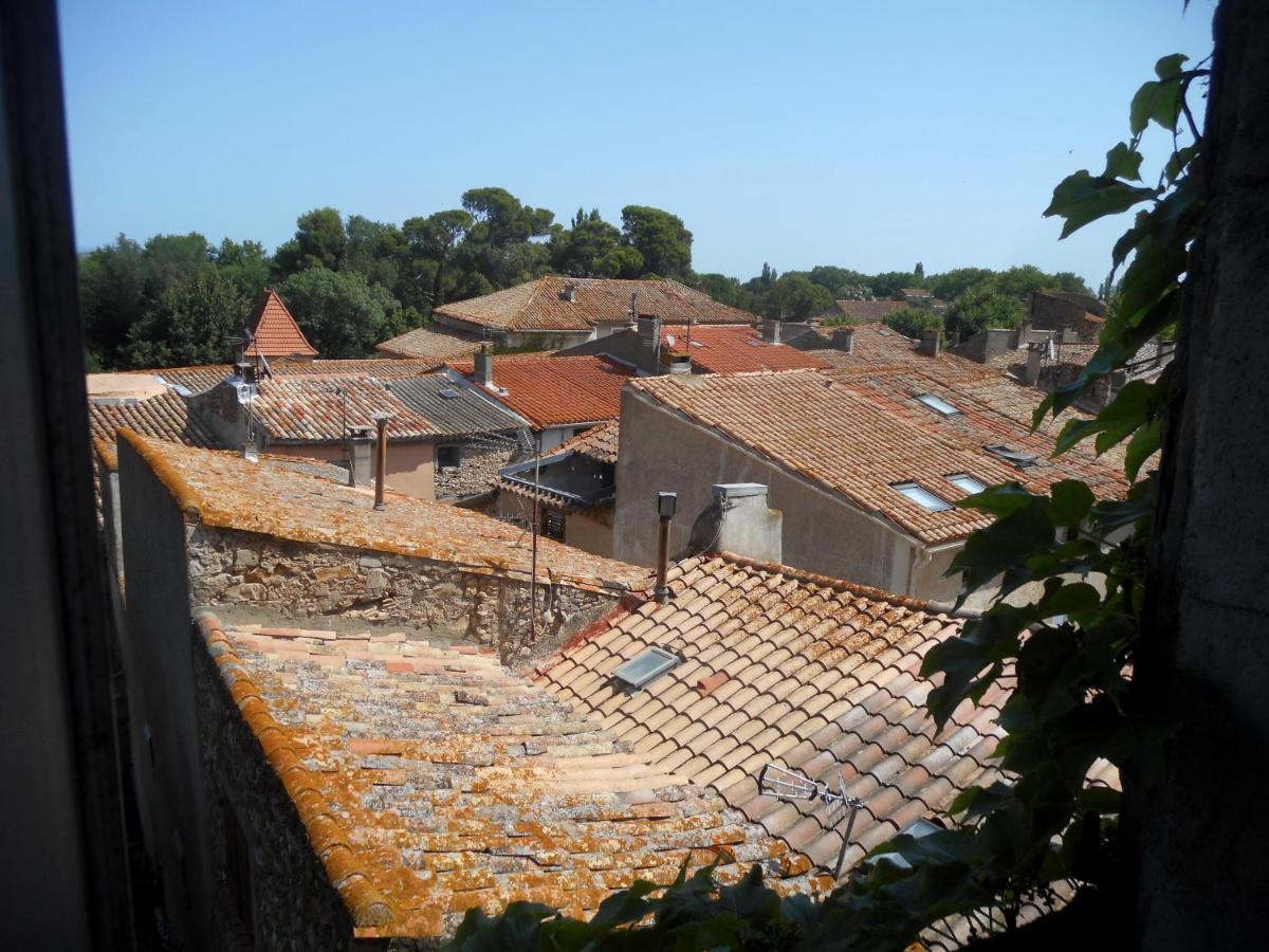 Logis De La Meschaussee, Dans Donjon Du Xie Siecle Canet  Extérieur photo